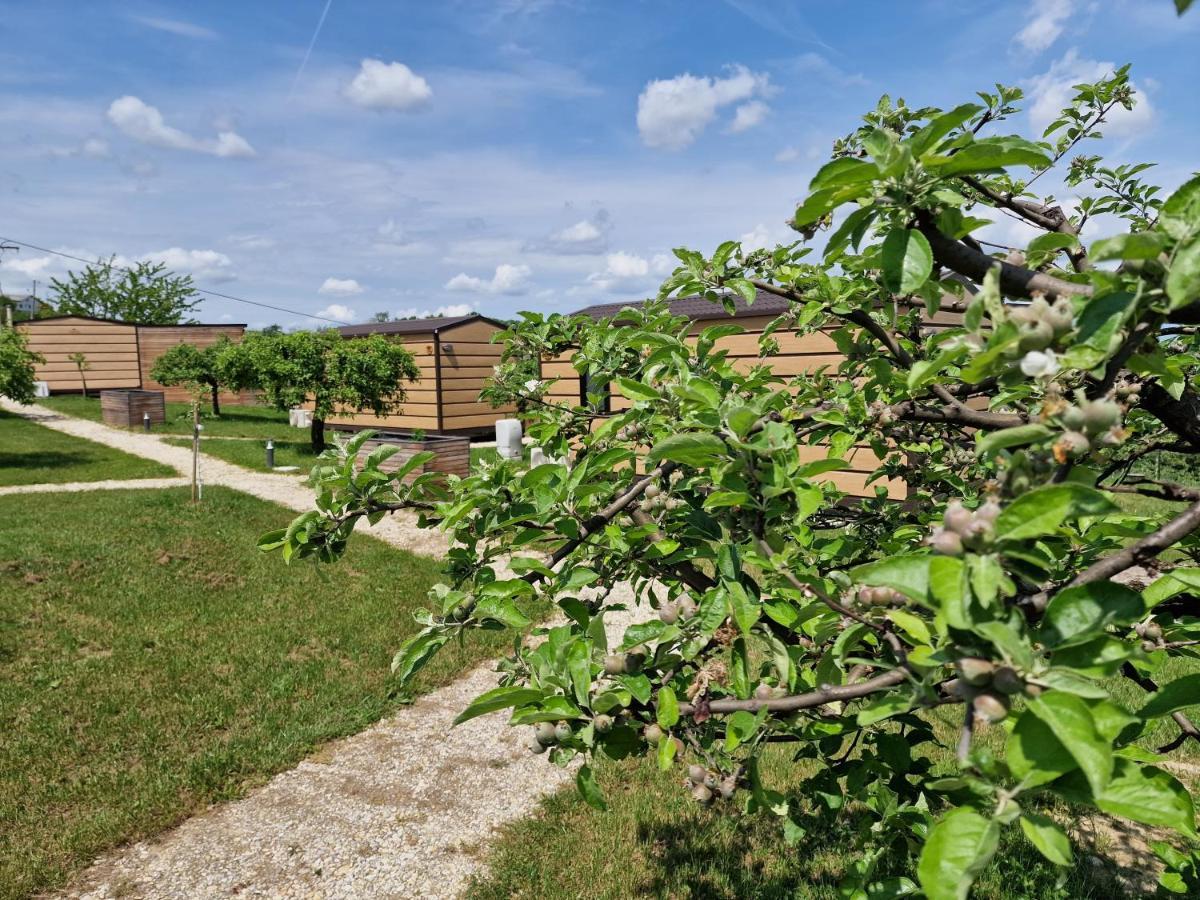 Vinea Panonika Wine & Mind Retreat Villa ราเดนซี ภายนอก รูปภาพ